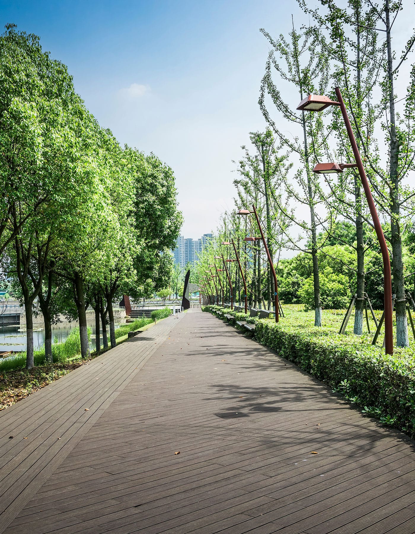 path through a park