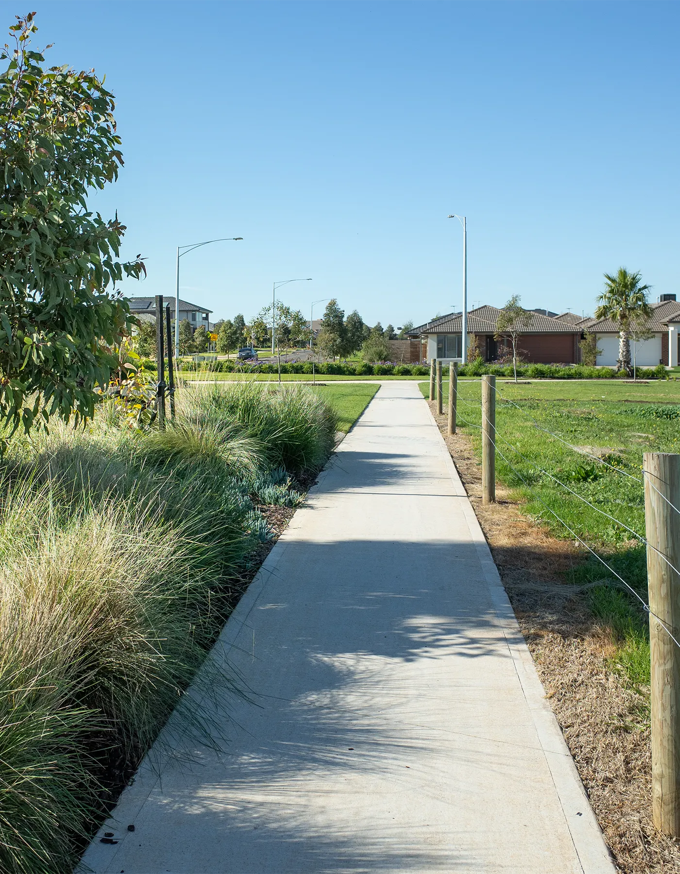 walking path in small subdivision
